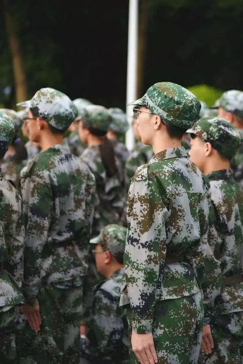 军训吃瓜视频最全观看,全方位揭秘军训生活趣味瞬间