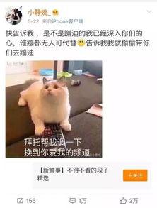 抖音吃瓜群众最新视频大全,揭秘热门视频背后的精彩故事