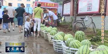 沙河吃瓜真实的视频,一场视觉盛宴的狂欢