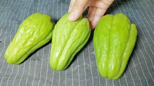 小向姐吃佛手瓜视频大全,视频大全回顾