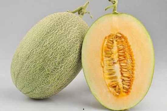 电影吃哈密瓜视频播放在线观看,在线重温甜蜜瞬间