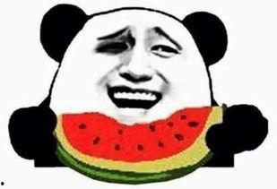 一群吃瓜群众直播视频大全,吃瓜群众视角下的热门视频大盘点