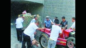 卖车王阿姨吃瓜视频大全,趣味横生的汽车圈幕后故事