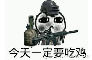 胖大瓜吃鸡视频,欢乐无限，趣味横生