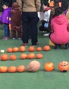 宝宝吃瓜幼儿园视频,幼儿园生活趣味横生