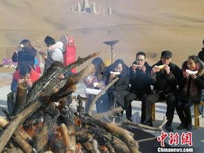 吃沙漠瓜的视频大全播放,视频大全带你领略独特风味