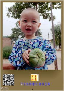 大盆友吃瓜视频大全,揭秘娱乐圈幕后故事