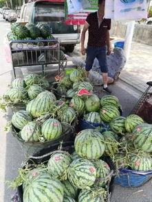 西安街边吃瓜事件视频,一场引发热议的街头冲突瞬间